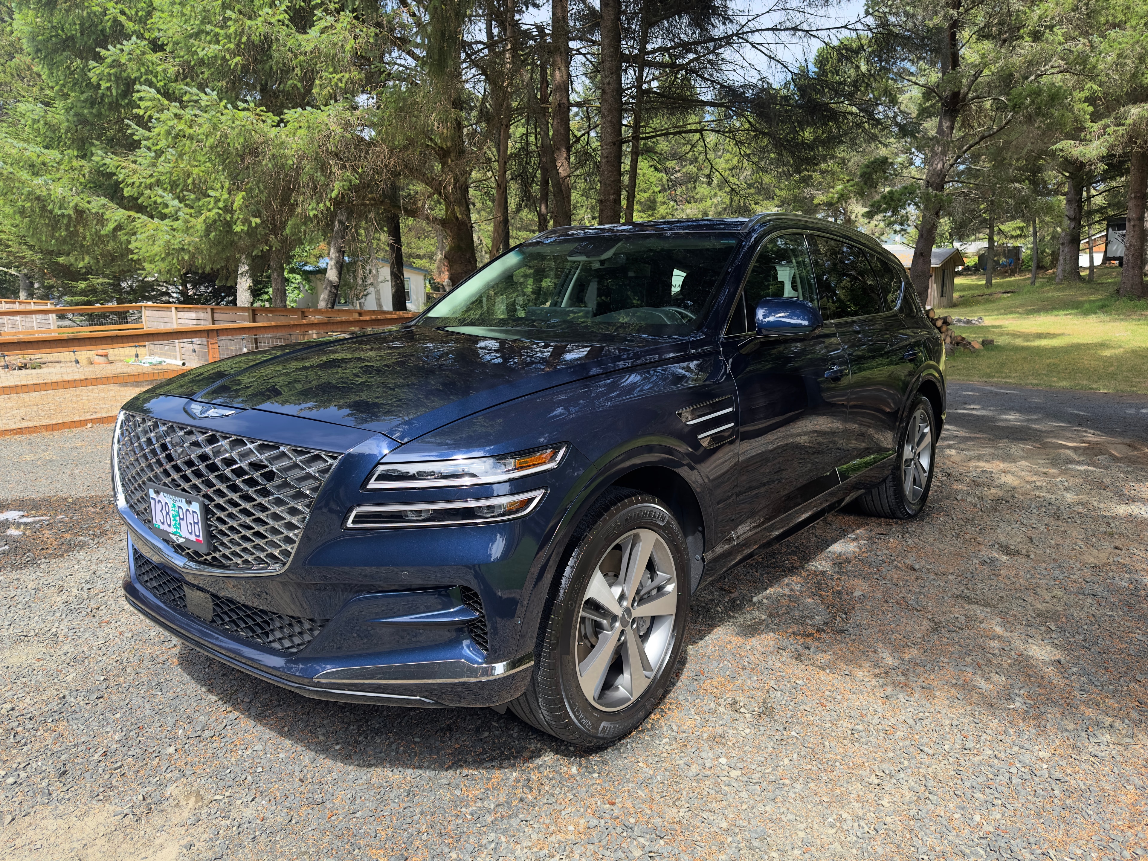 Auto detailing work